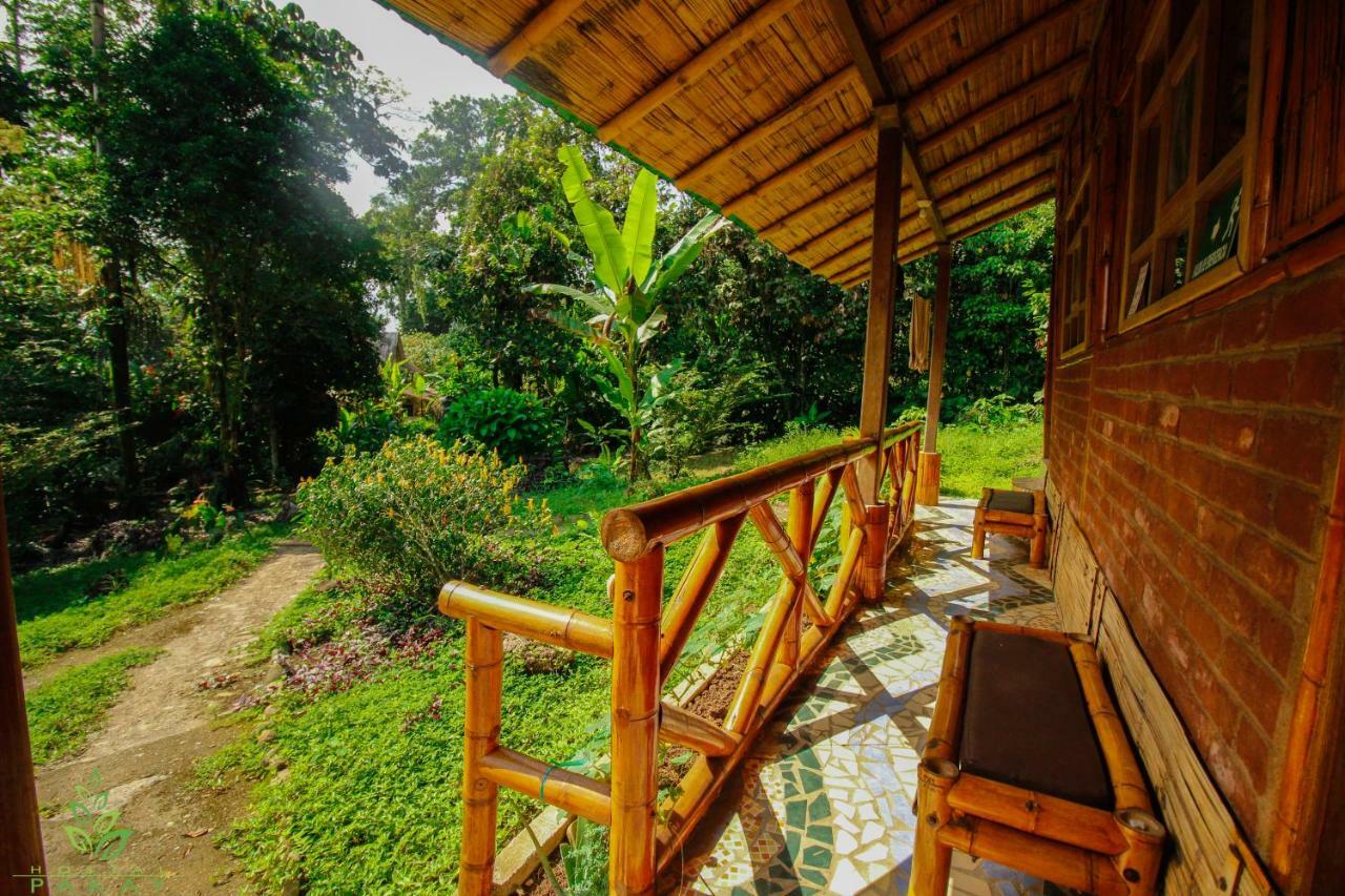 Hostal Pakay Tena Bagian luar foto