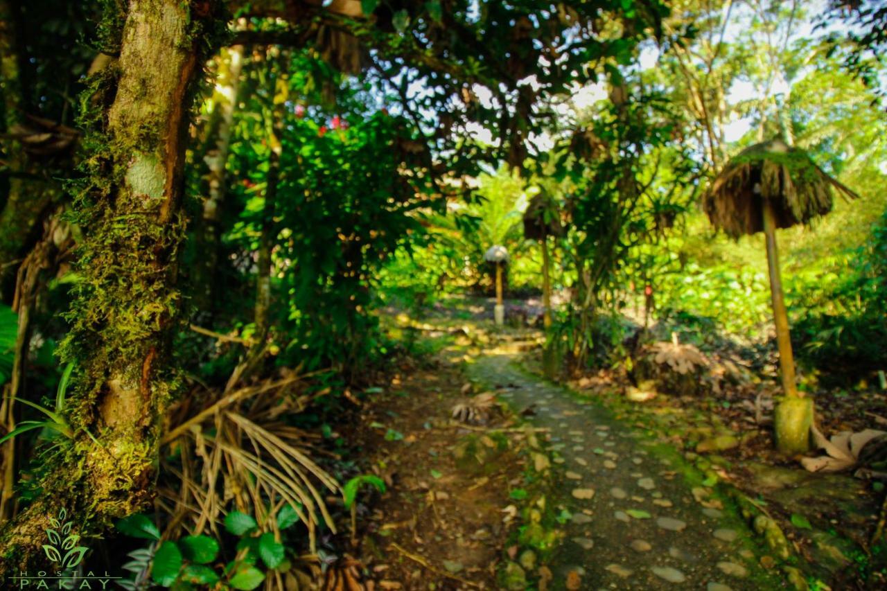 Hostal Pakay Tena Bagian luar foto