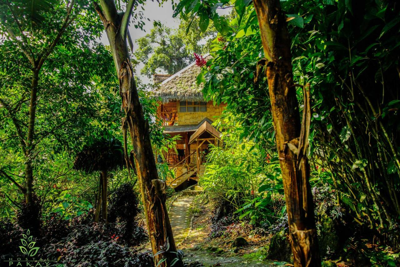 Hostal Pakay Tena Bagian luar foto