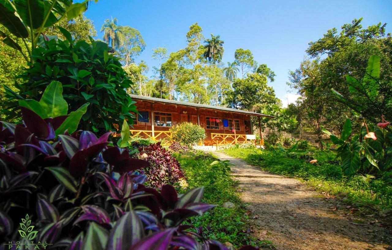 Hostal Pakay Tena Bagian luar foto