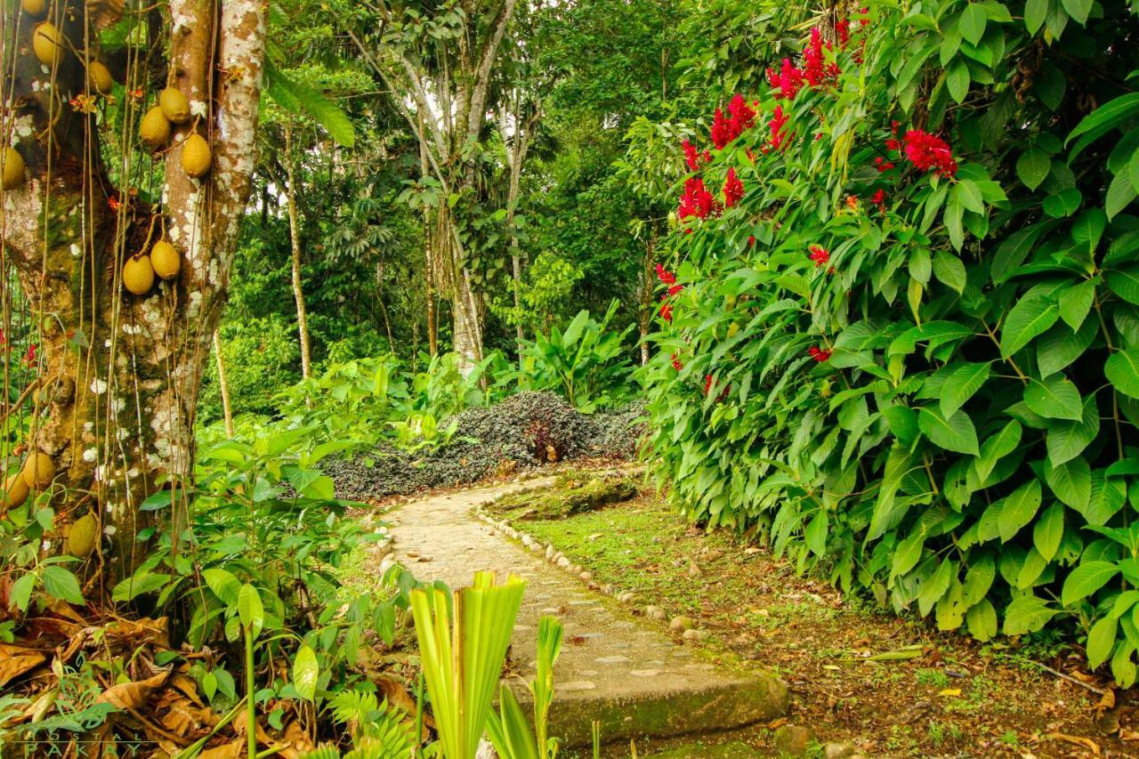 Hostal Pakay Tena Bagian luar foto